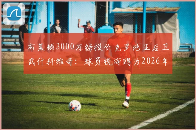 布莱顿3000万镑报价克罗地亚后卫武什科维奇：球员视海鸥为2026年跳板，背后原因与实力深度分析