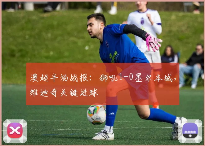 澳超半场战报:狮吼1-0墨尔本城,维迪奇关键进球